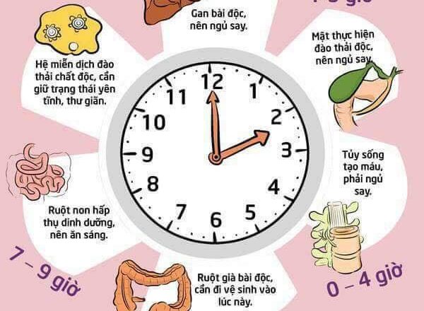 Các phương pháp chuẩn đoán, điều trị và phòng ngừa Mất ngủ. Các phương pháp chuẩn đoán, điều trị và phòng ngừa Mất ngủ.